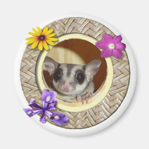 Zuckersegelflugzeug Magnet