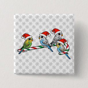 Zuckerstange Sankt Budgies Button