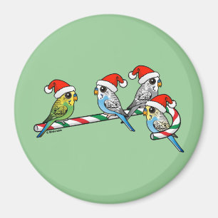 Zuckerstange Sankt Budgies Magnet