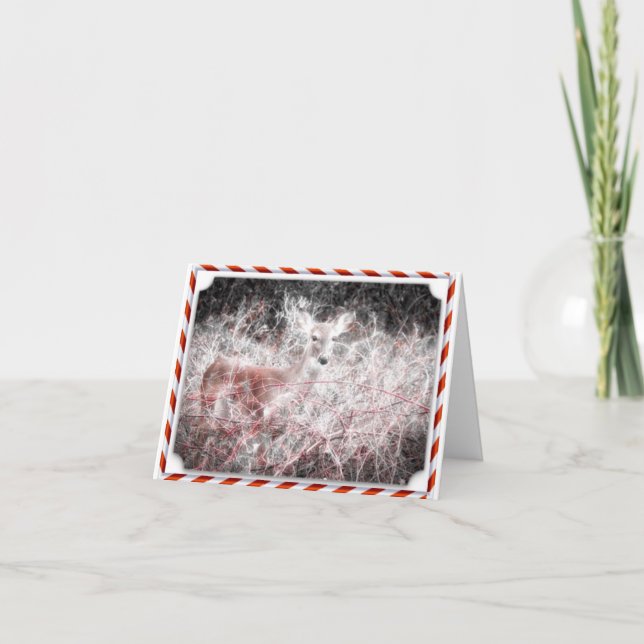 Zuckerstange-Weihnachtsrotwild-Feiertags-Karte Feiertagskarte (Vorderseite)