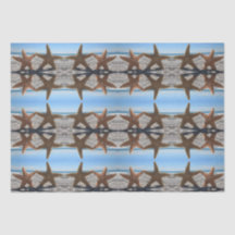 Zuckerstangen auf dem Beach Tissue Paper