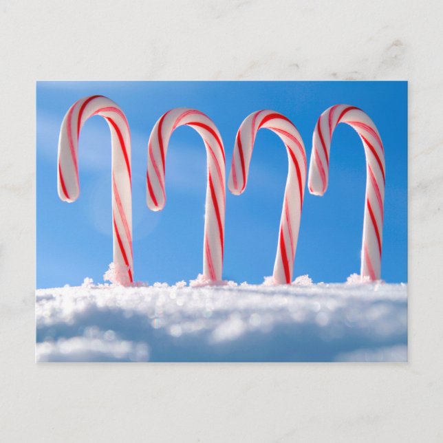 Zuckerstangen Feiertagspostkarte (Vorderseite)