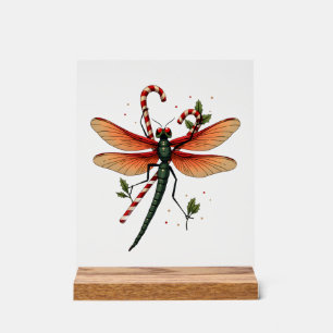 Zuckerstangen-Libelle Acrylschild