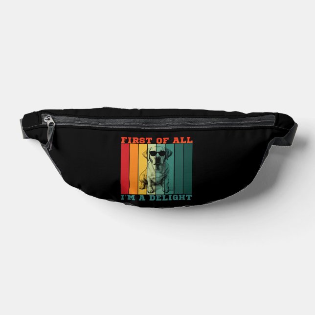 ZUERST BIN ICH EINE FREUDE  BAUCHTASCHE (Ablage )