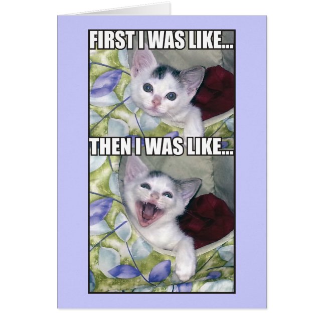 Zuerst dachte ich: (Vorne)