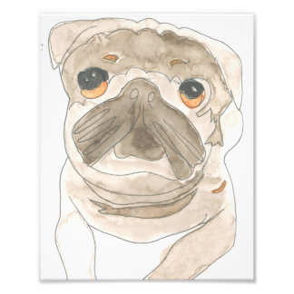 Zues Pup Print Fotodruck