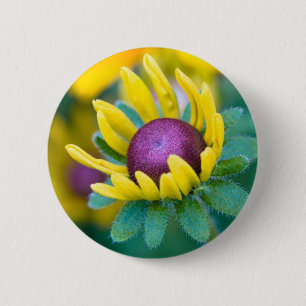zufällig verliebt button