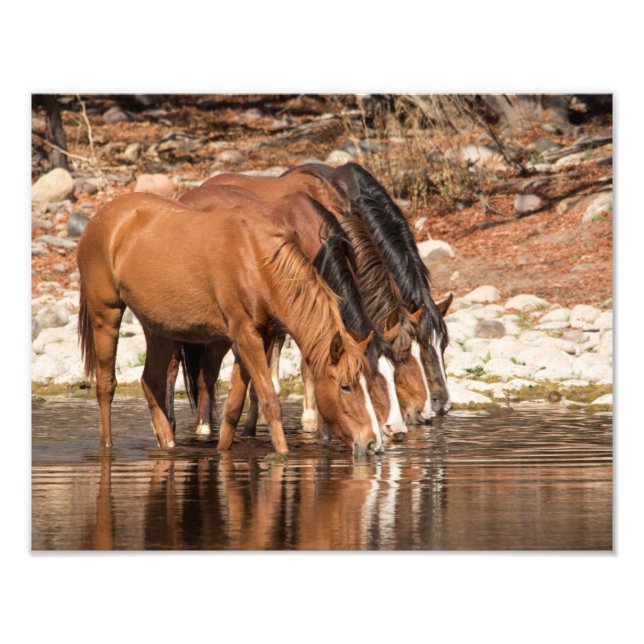 Zufälligkeit Fotodruck (Vorne)