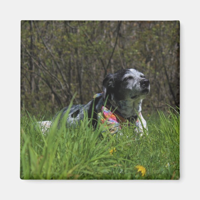 Zufriedenheit Magnet (Vorne)