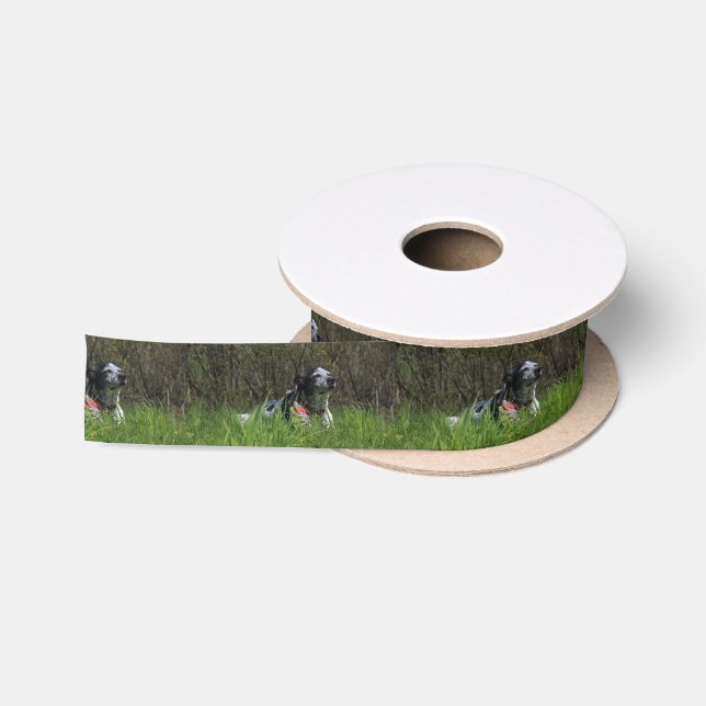 Zufriedenheit Satinband (Spule)