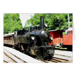 Zug im Eisenbahnmuseum Chamby