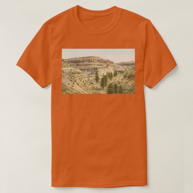 Zug im Grand Canyon T-Shirt (Design vorne)