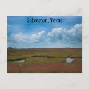 Zug und Marschland in Galveston, Texas Postkarte