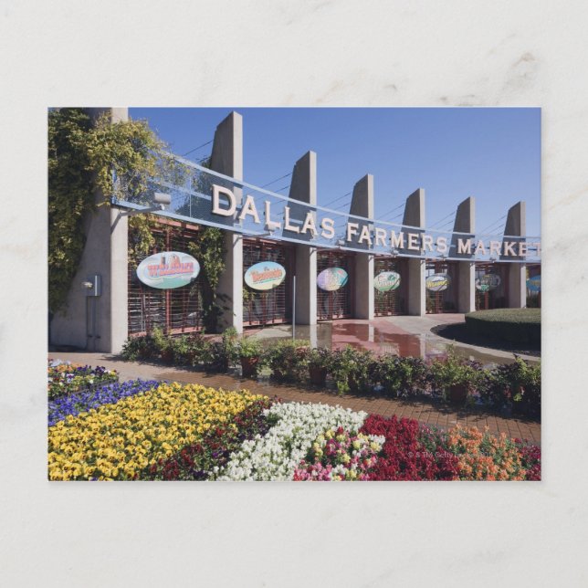 Zugang zum Markt der Bauern von Dallas Postkarte (Vorderseite)