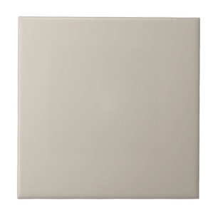 Zugängliche Beige Solid Color Fliese