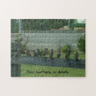 Zügelt Vögel auf der Schiene Ihre Worte Puzzles