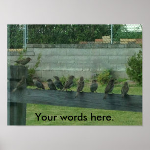 Zügelt Vögel auf einer Schiene Ihre Worte Posters Poster