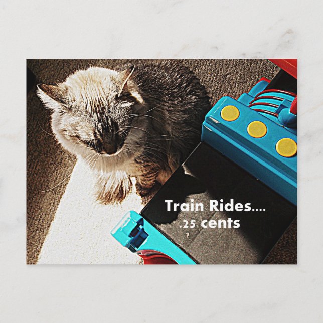 Zugfahrten Cat Postkarte (Vorderseite)