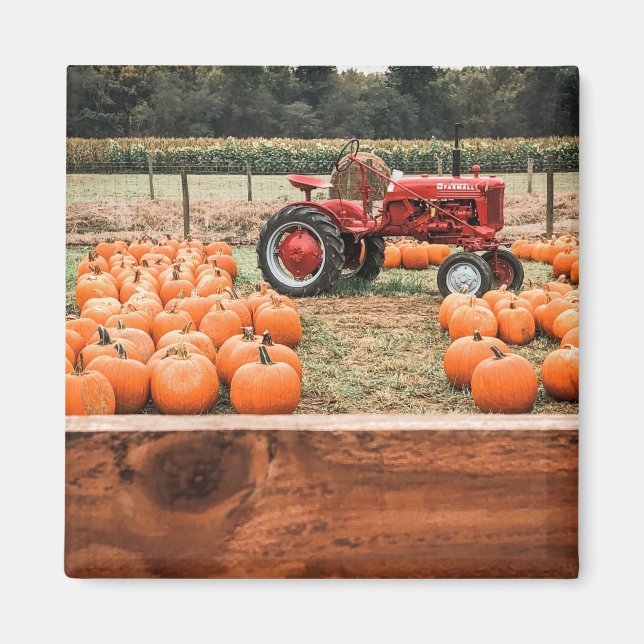 Zugmaschine und Pumpkins Magnet (Vorne)