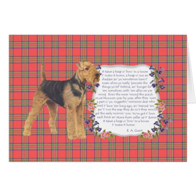 Zuhause Airedale - Walisisch - Lakeland (Vorderseite (Horizontal))