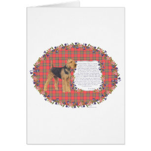 Zuhause Airedale - Walisisch - Lakeland