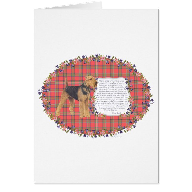 Zuhause Airedale - Walisisch - Lakeland (Vorne)