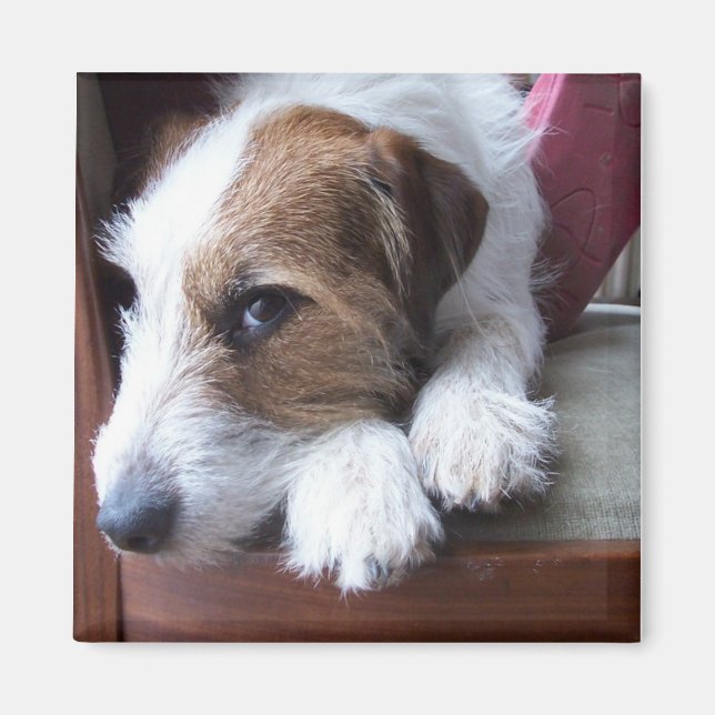 Zuhause am Sonntag Magnet (Vorne)