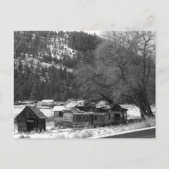 Zuhause auf der Ochocos-Postkarte Postkarte (Vorderseite)