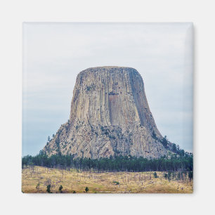 Zuhause eines Bären Magnet