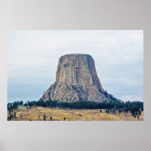 Zuhause eines Bären Poster