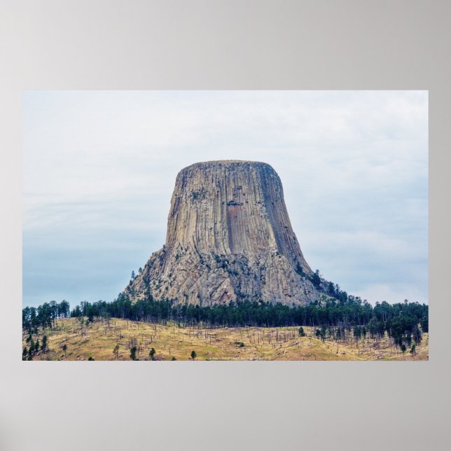 Zuhause eines Bären Poster (Vorne)