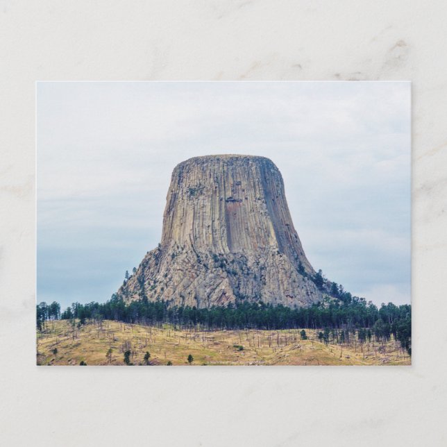 Zuhause eines Bären Postkarte (Vorderseite)
