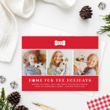 Zuhause für das Holidays Red Kariert Dog Foto