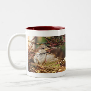 Zuhause für die Ferien-Tasse Zweifarbige Tasse