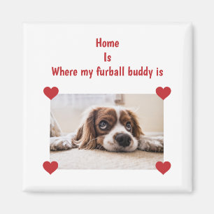 Zuhause Furball Buddy Dog Personalisiertes Foto He Magnet