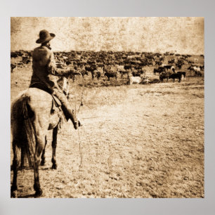 Zuhause im Bereich Poster