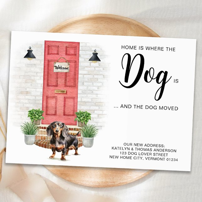 Zuhause ist, wo der Hund ist, wo wir uns bewegt ha Ankündigung (Von Creator hochgeladen)