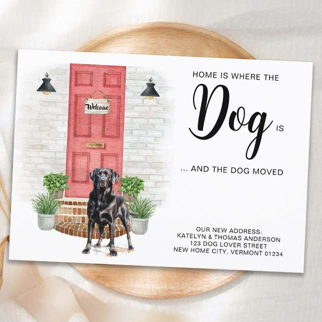 Zuhause ist, wo der Hund ist, wo wir uns bewegt ha Ankündigung (Von Creator hochgeladen)