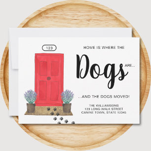 Zuhause ist, wo die Hunde tanzen Ankündigung