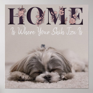 Zuhause ist, wo Ihr Shih Tzu ist Poster