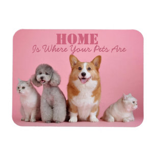 Zuhause ist, wo Ihre Haustiere sind Magnet