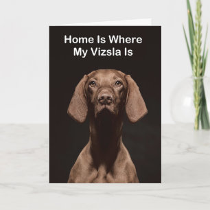 Zuhause ist, wo mein Vizsla ist Karte
