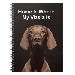 Zuhause ist, wo mein Vizsla ist Notizblock