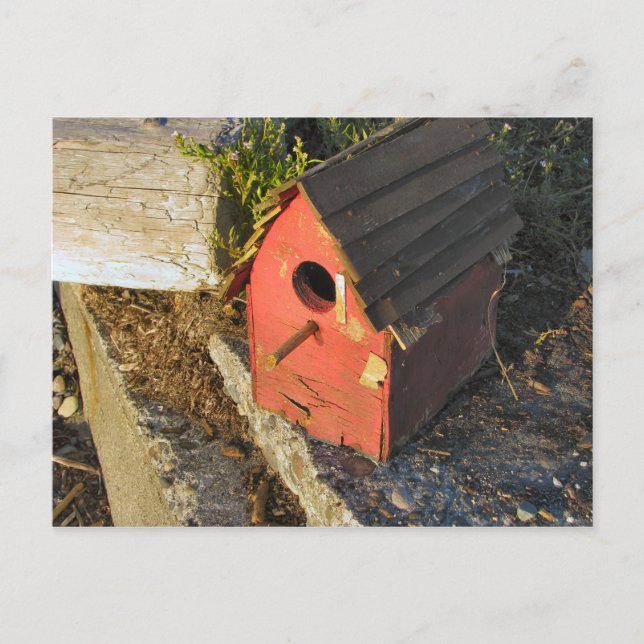 Zuhause mit Aussicht Postkarte (Vorderseite)