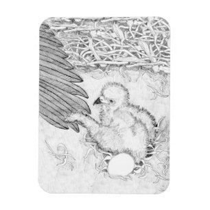 ZUHAUSE Second Nature E14 Going Zuhause auf Ozzies Magnet