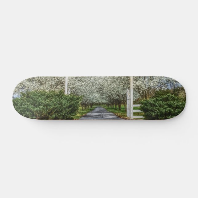 Zuhause Skateboard (Horizontal)