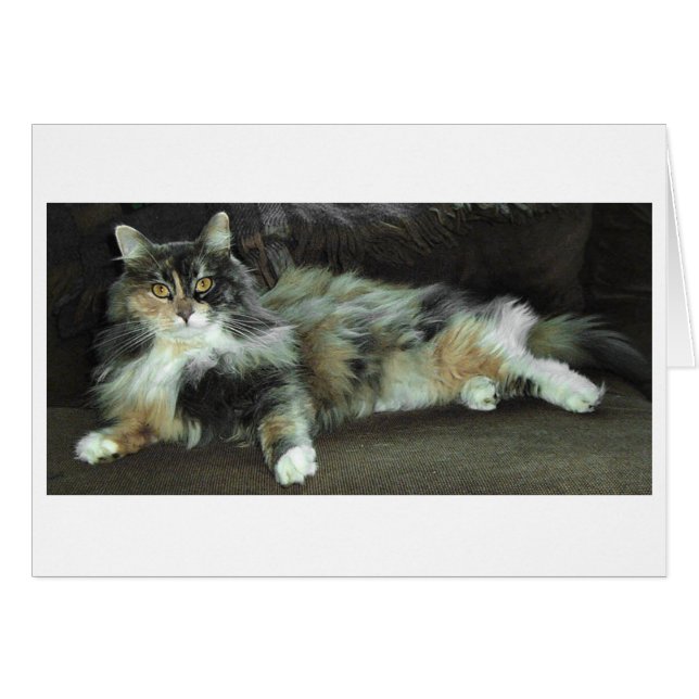 Zuhause von der Jagd, zum Abendessen Gewartet (Vorderseite (Horizontal))