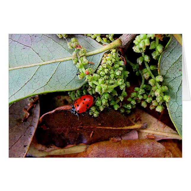 Zuhause zum Abendessen (Vorderseite (Horizontal))