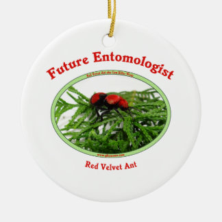 Zukünftige Entomologe-Liebe-Wanzen Keramik Ornament
