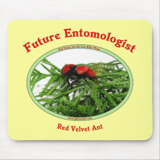 Zukünftige Entomologe-Liebe-Wanzen Mousepad